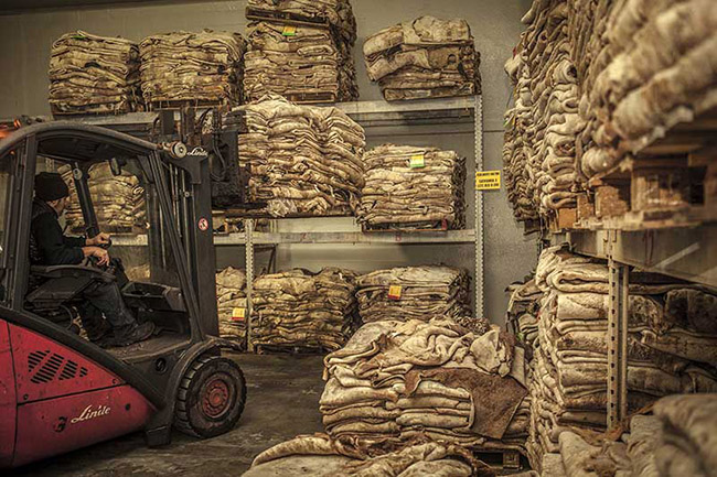 Storage of vegetable tanning.